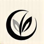 Logo dell'Associazione Italiana Benessere Olistico